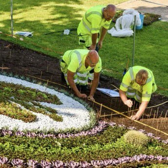 Landscaping and Green Area Management